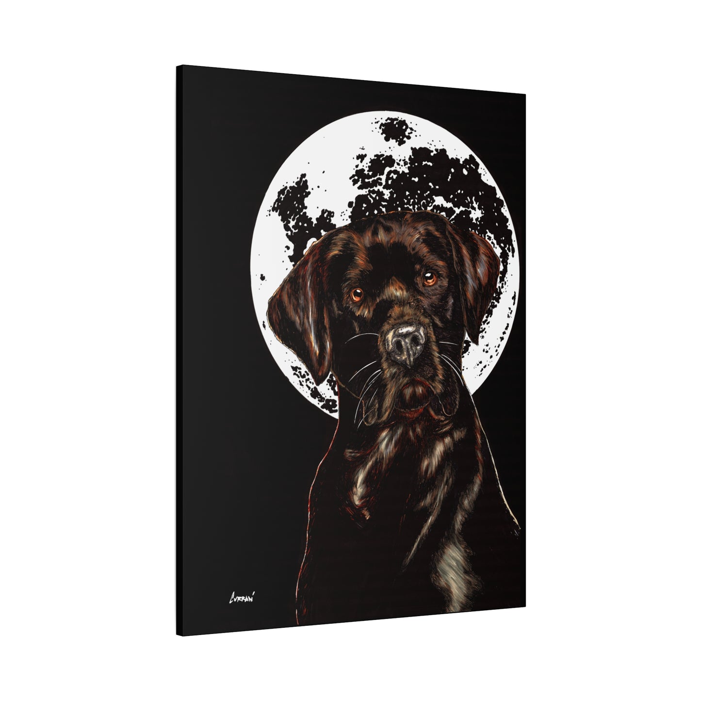 Chocolate Lab in Moonlight Wall Art Print of the Original
