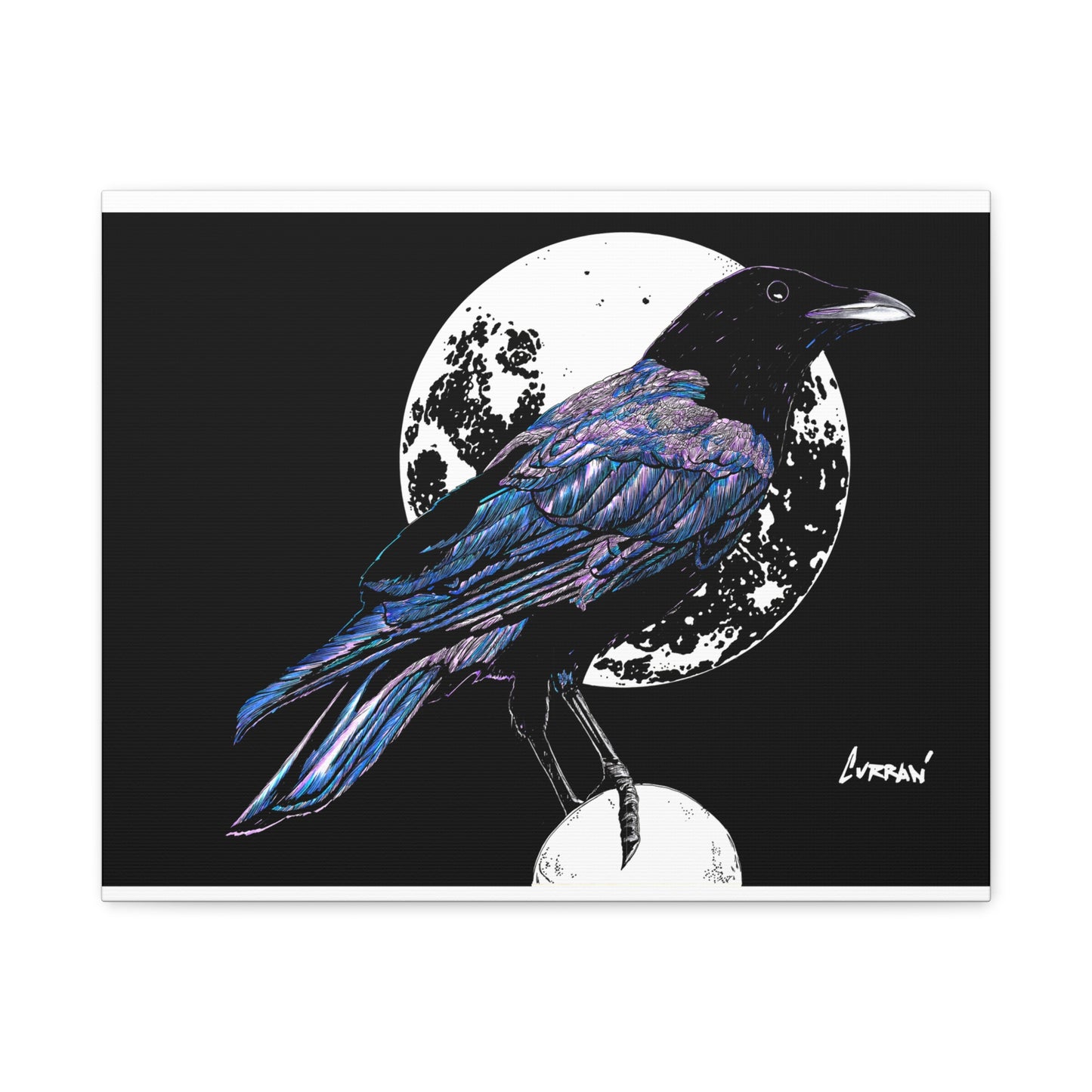 Crow Art – Original Hand-Drawn Unique, Detailed Illustration