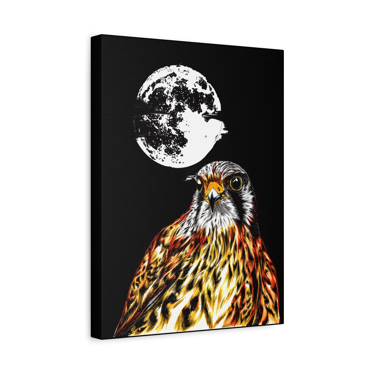 Falcon Wall Art, Falcon Print, Wildlife Art, Bird of Prey