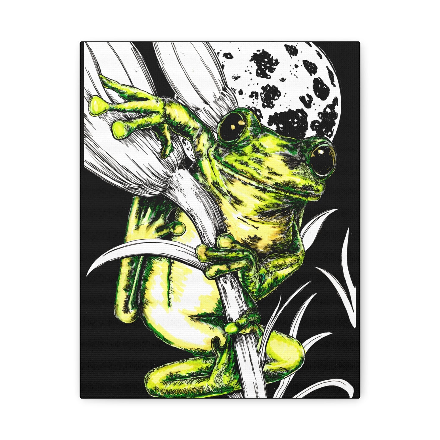 Frog 1 Wall Art Print of the Original, hand drawn wall art