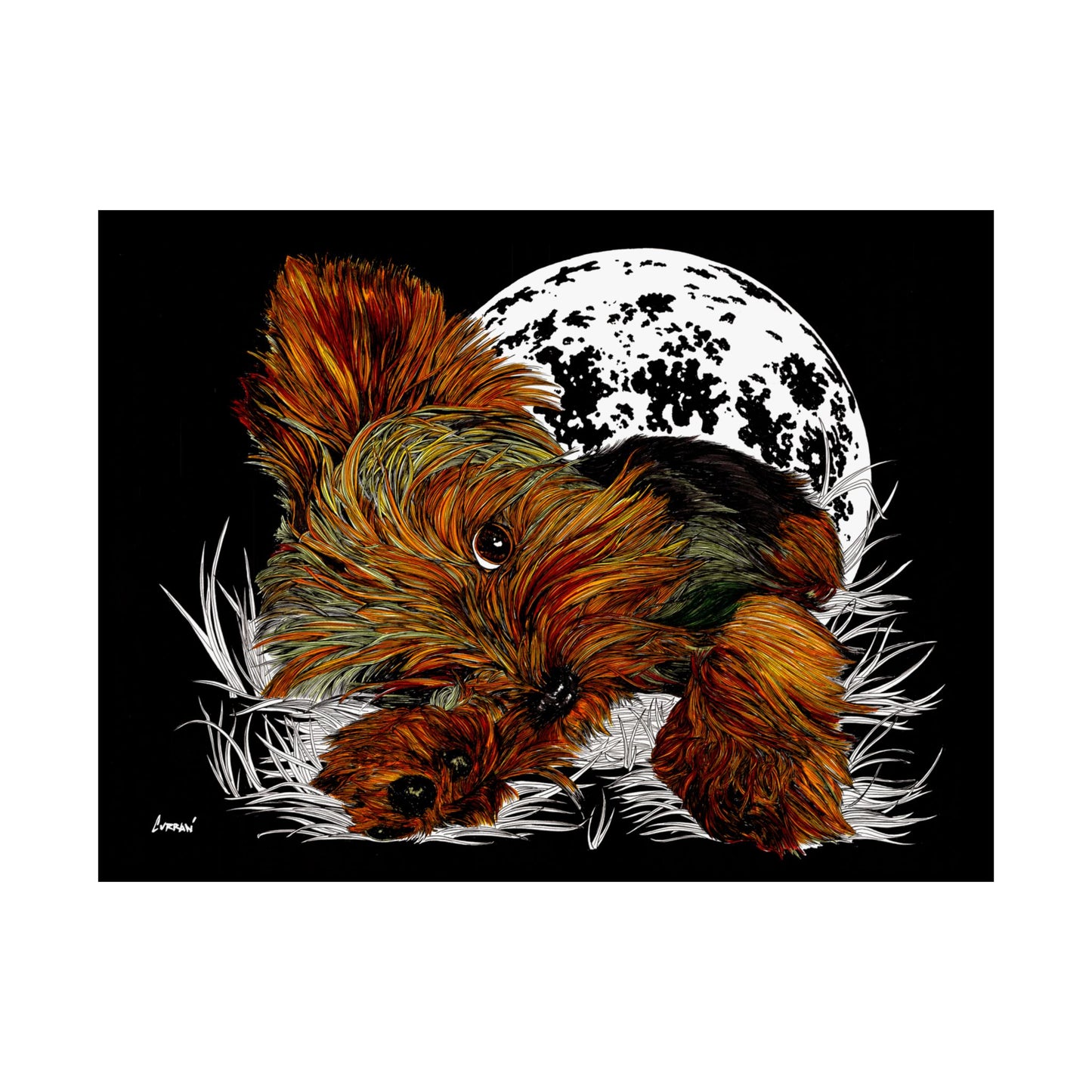 Yorkshire Terrier Satin Poster - 300gsm Art Print for Dog Lovers