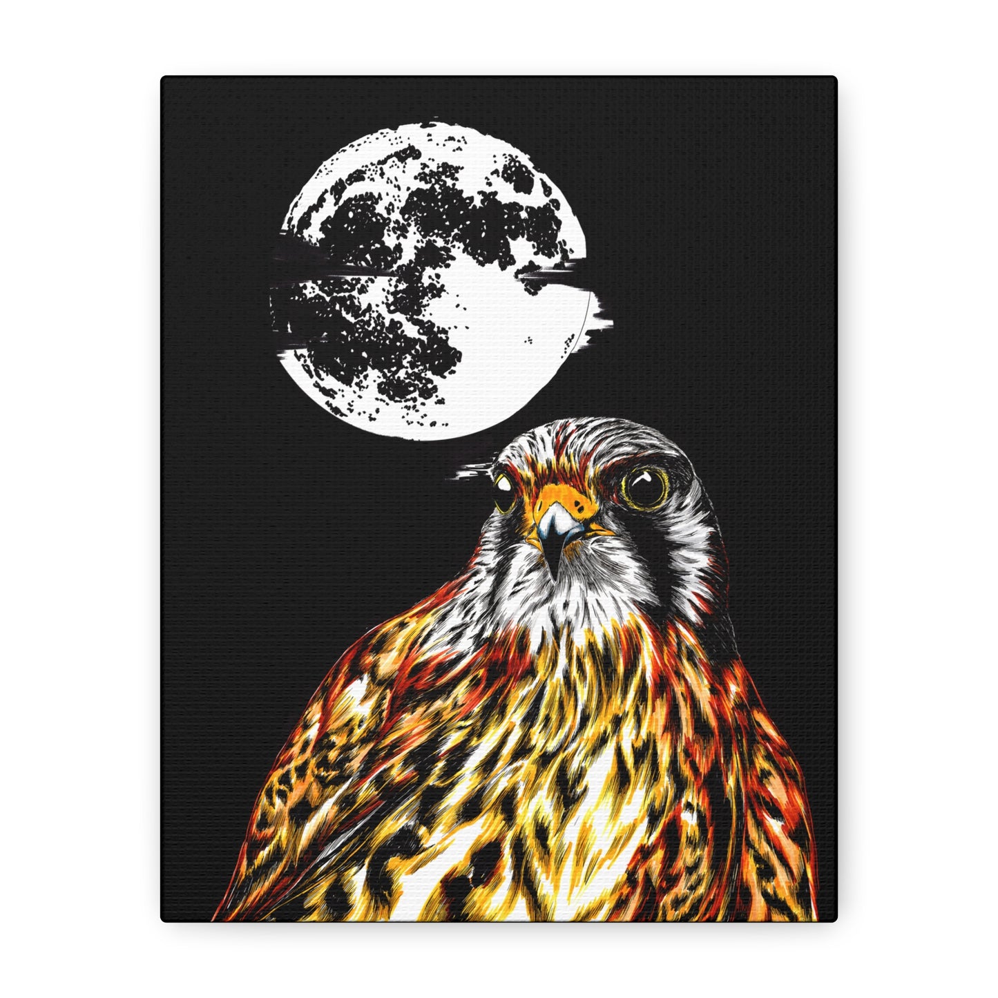 Falcon Wall Art, Falcon Print, Wildlife Art, Bird of Prey