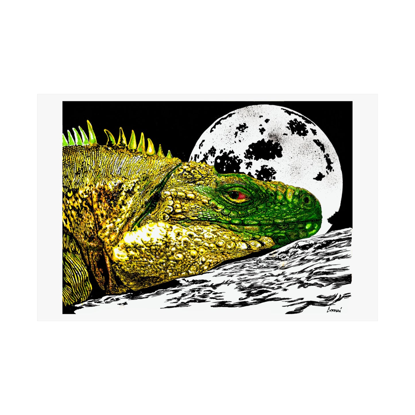 Vibrant Iguana Satin Poster - Moonlit Art Print for Nature Lovers