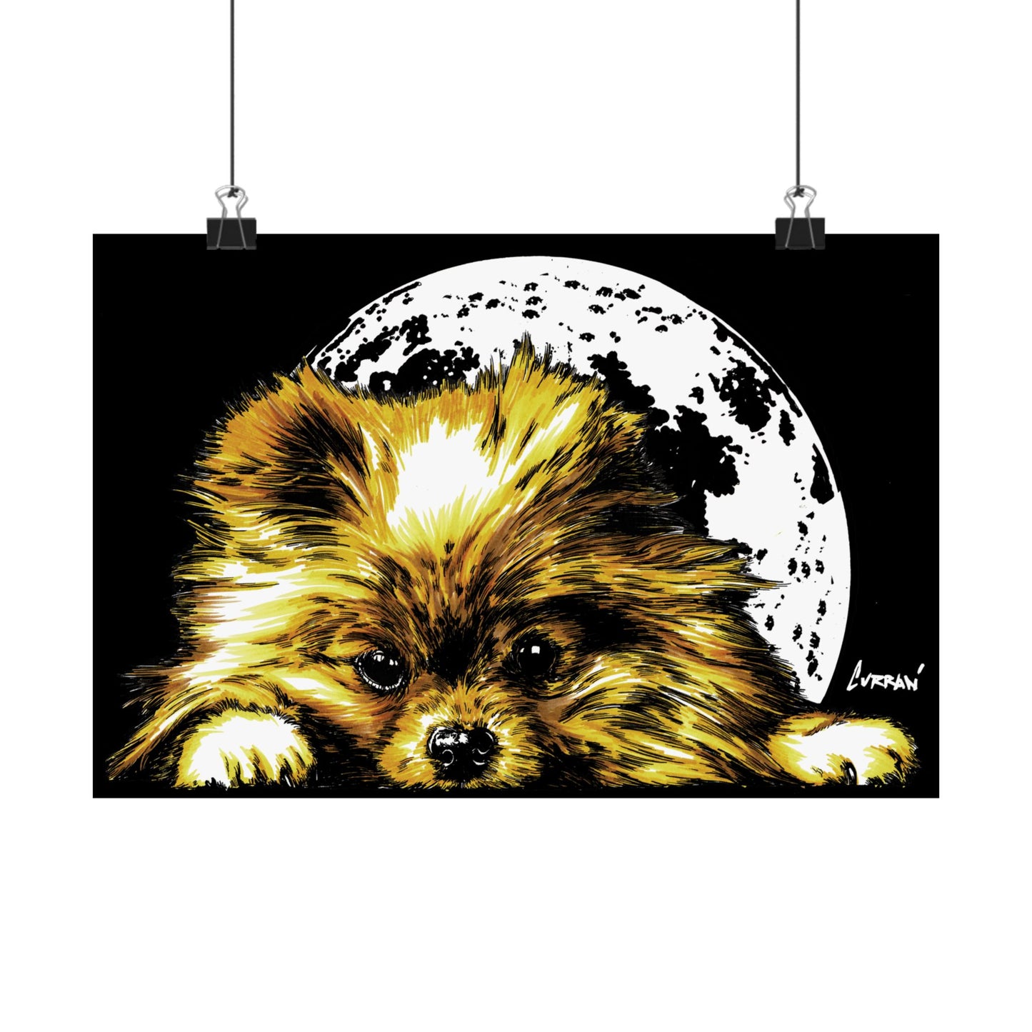 Beautiful Pomeranian Art Print - Satin Poster (300gsm)