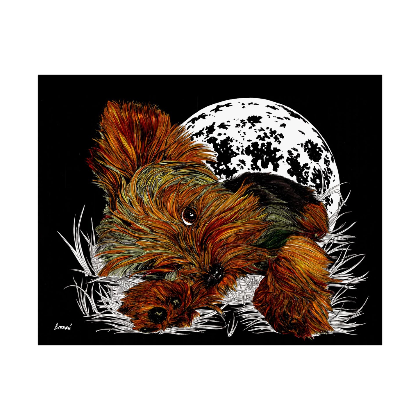 Yorkshire Terrier Satin Poster - 300gsm Art Print for Dog Lovers