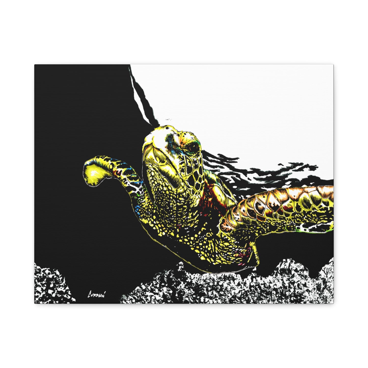 Sea Turtle Art Print of my Original hand drawn art printed on stretched canvas of a Sea Turtle