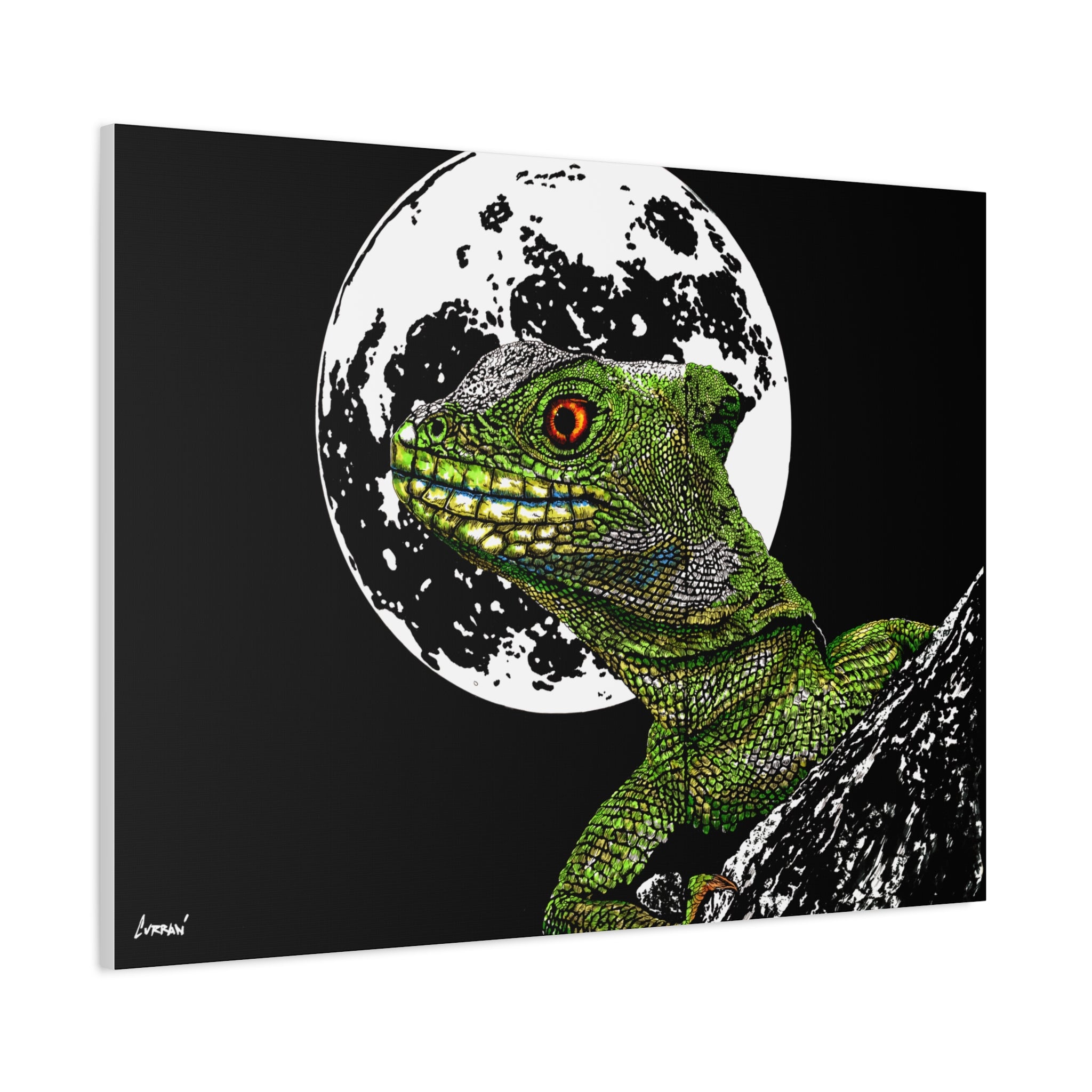 Lizard Canvas Art – Original Hand-Drawn Realistic