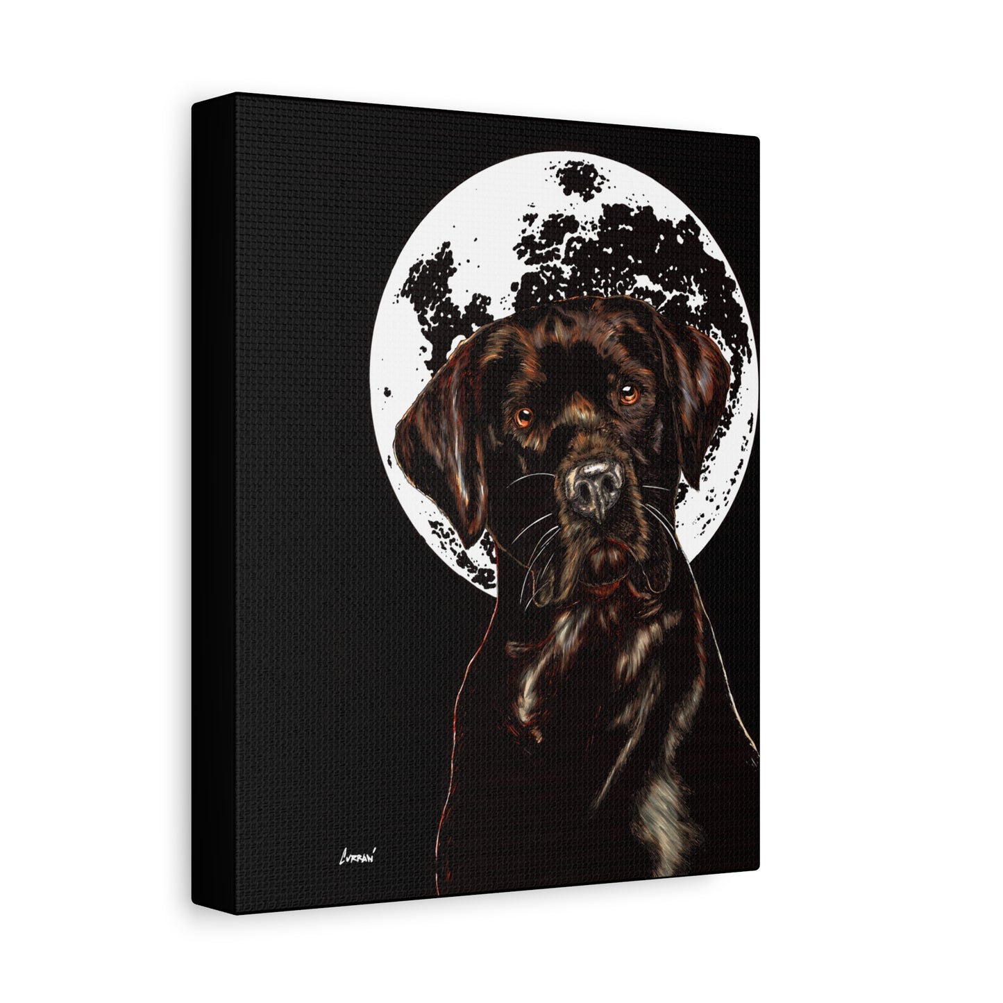 Chocolate Lab in Moonlight Wall Art Print of the Original