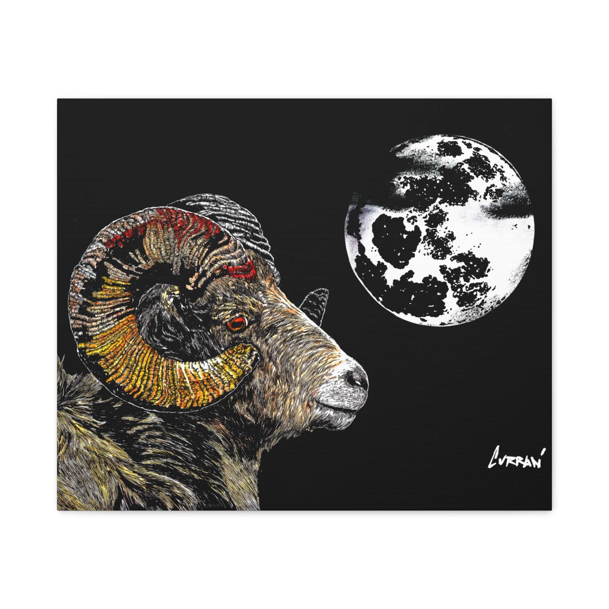 Mountain Ram Canvas Print - Art Print on Stretched Canvas