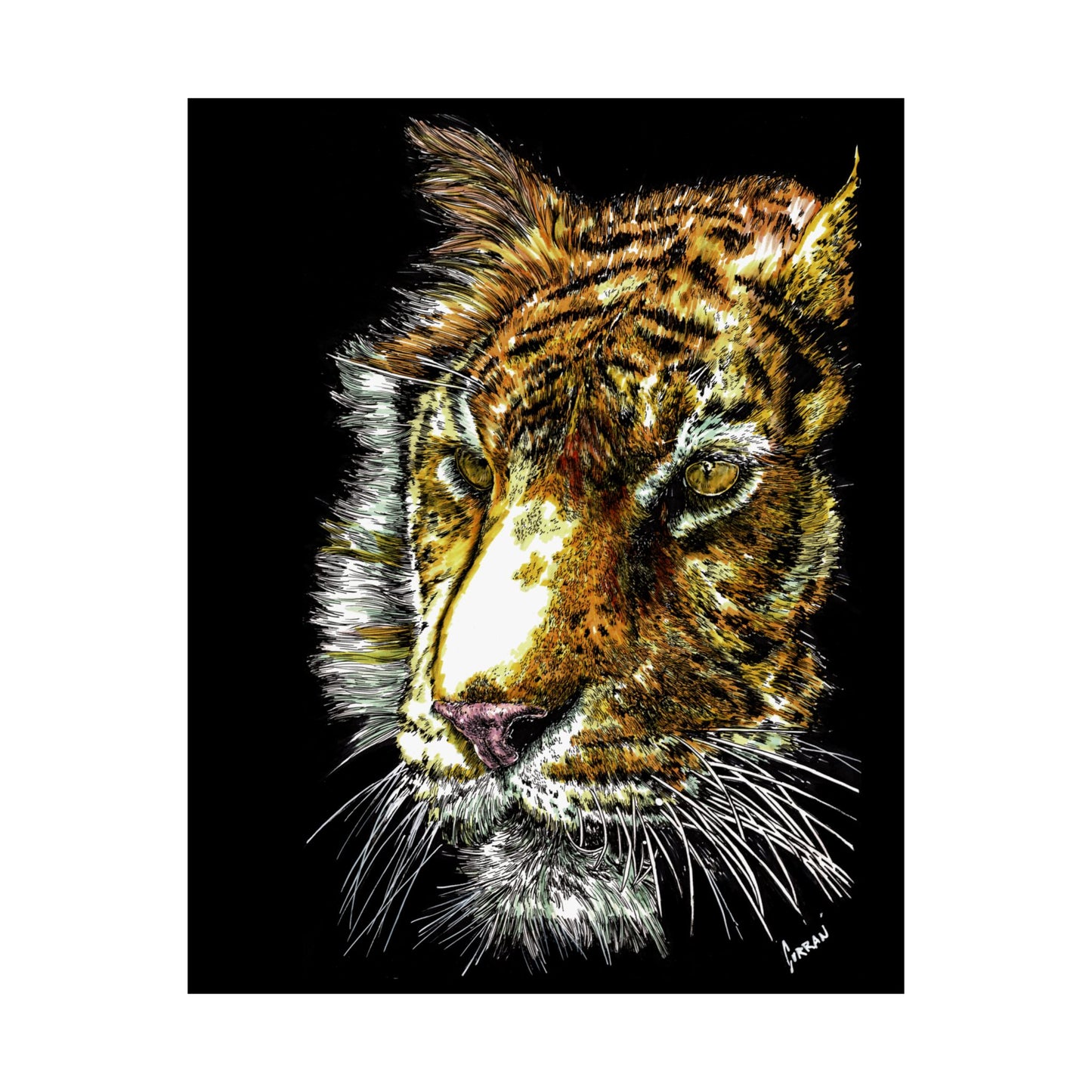 Majestic Tiger Satin Poster (300gsm) - Vibrant Wildlife Wall Art for Home Decor