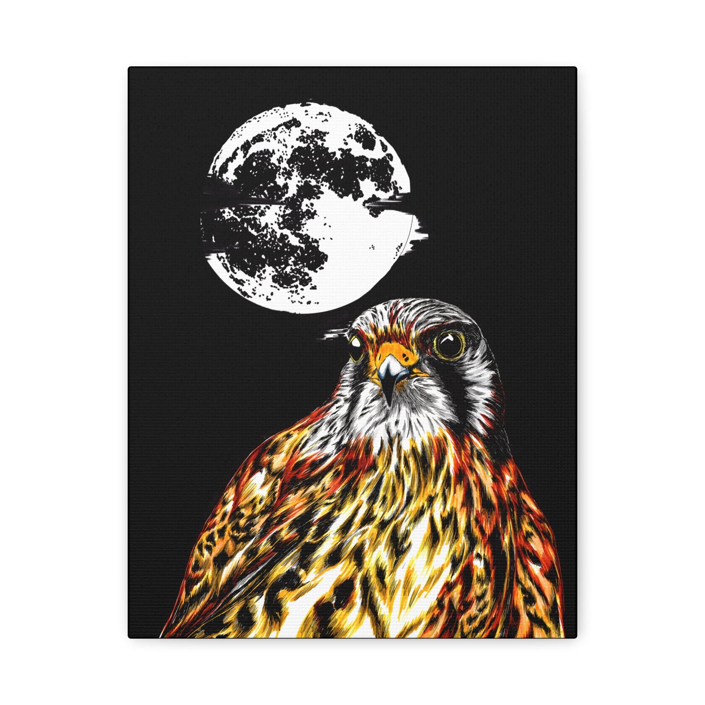 Falcon Wall Art, Falcon Print, Wildlife Art, Bird of Prey