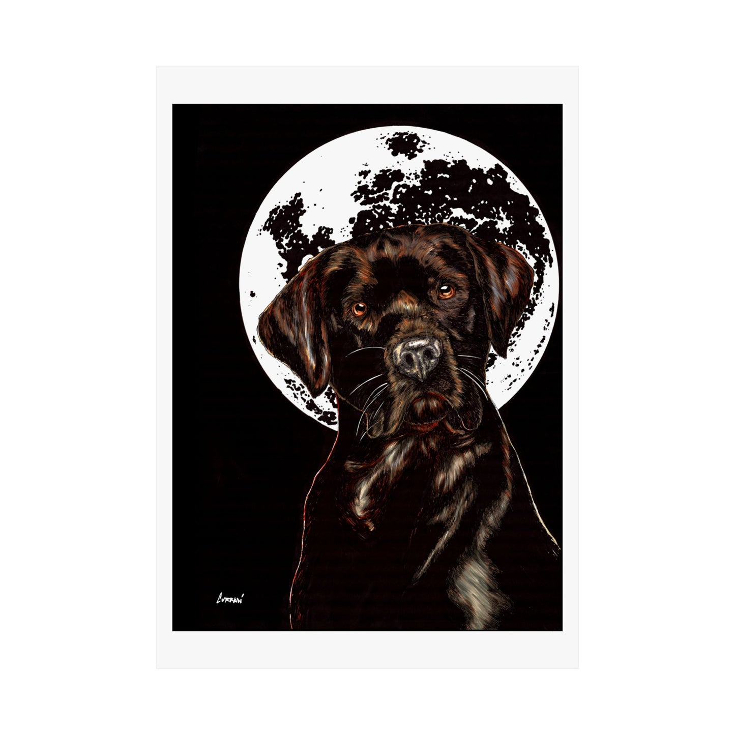 Chocolate Lab Dog Moonlight Satin Poster
