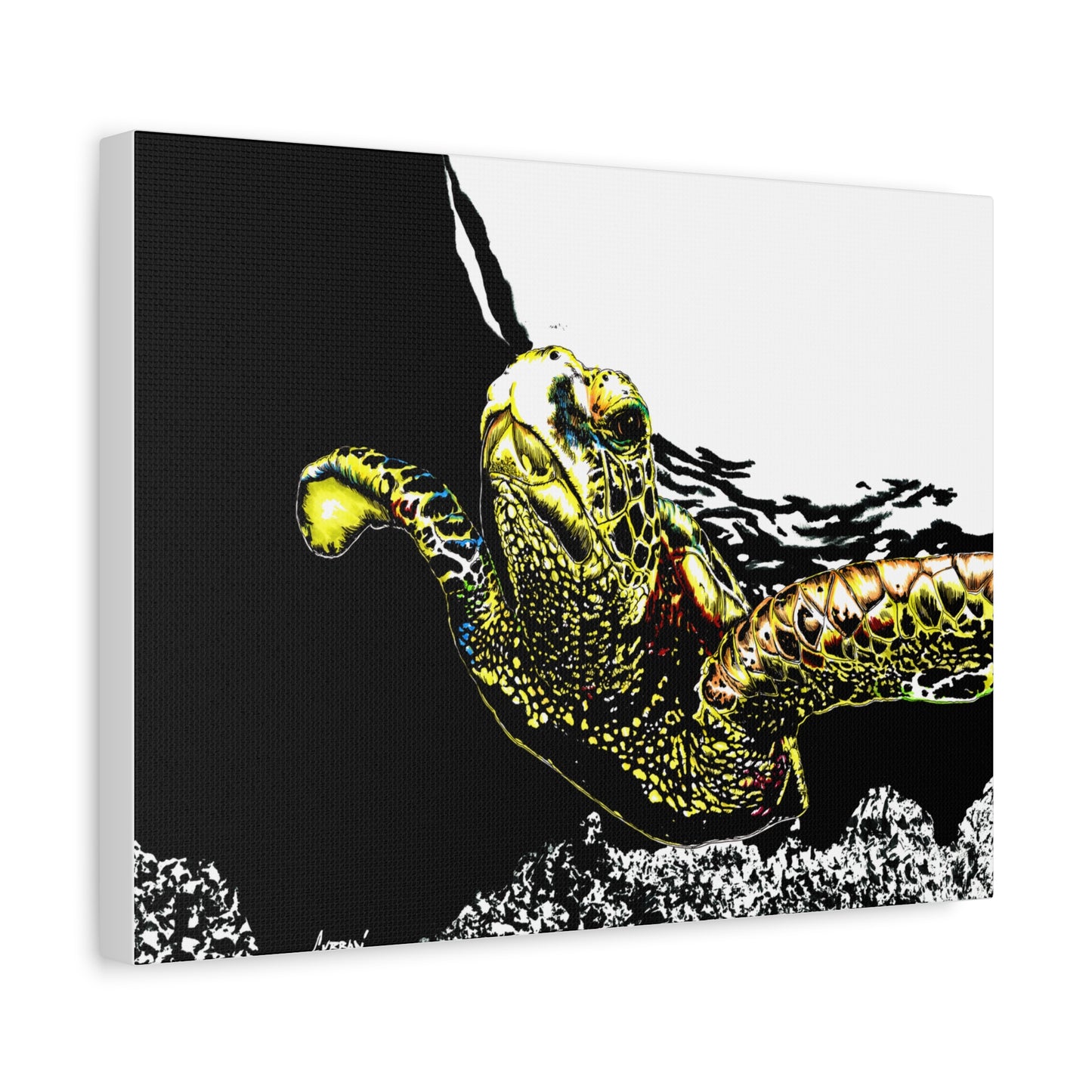 Sea Turtle Art Print of my Original hand drawn art printed on stretched canvas of a Sea Turtle