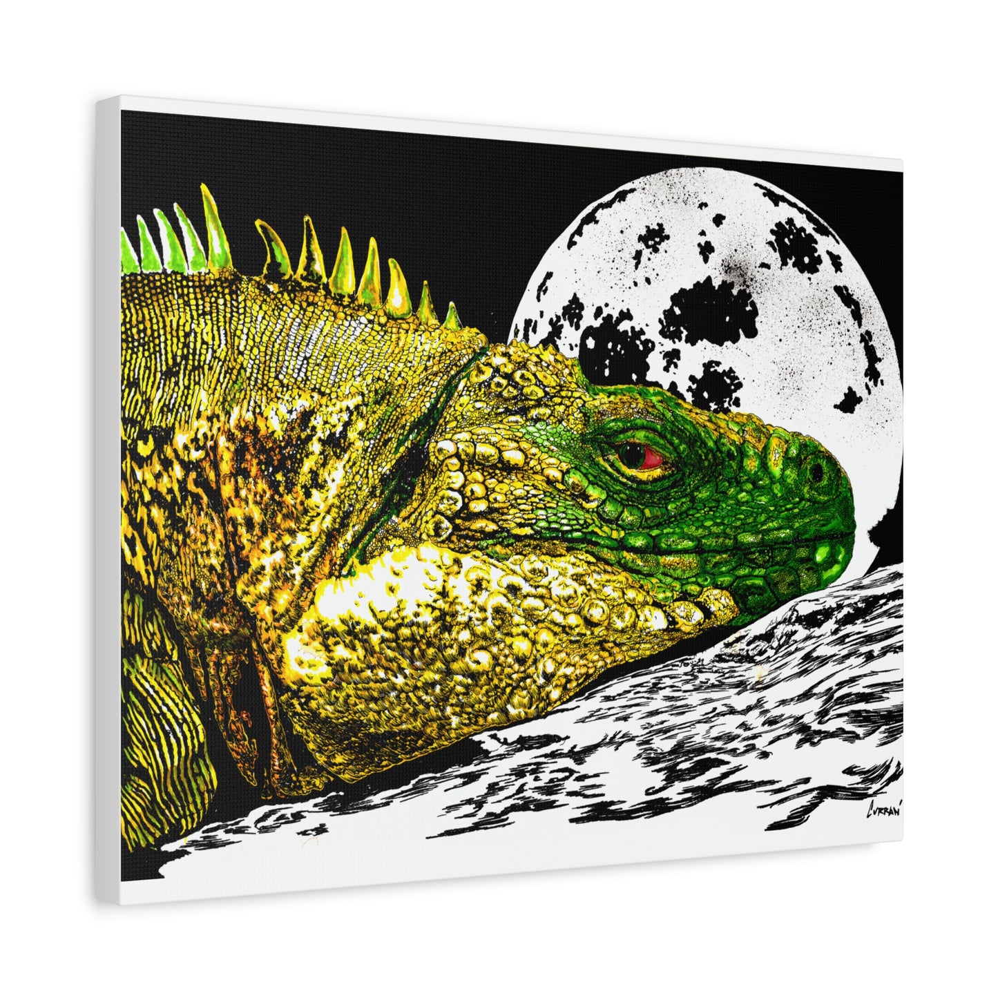 Reptile Art Print, Print of my Original hand drawn art printed on stretched canvas of a Reptile