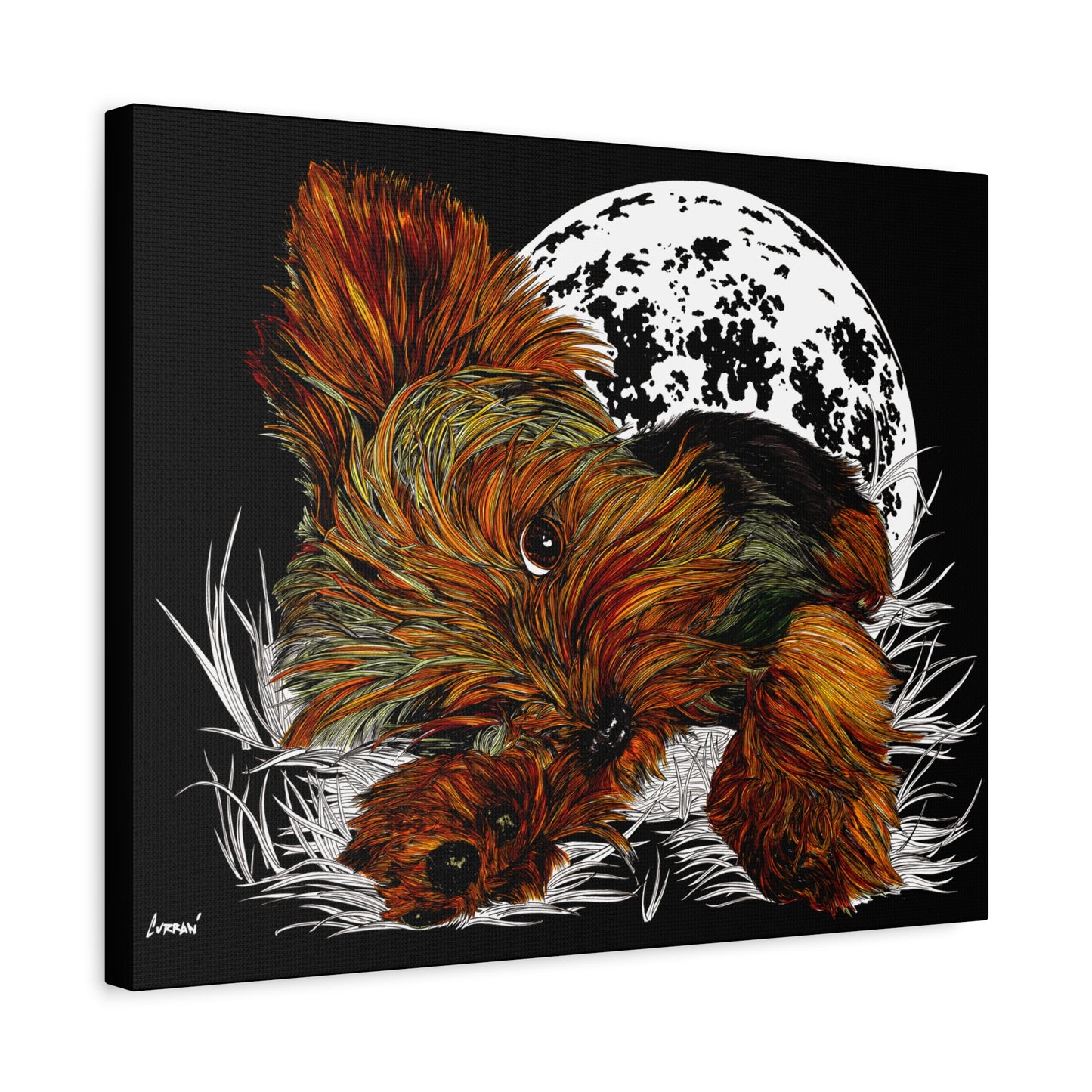 Yorkie Terrier Canvas Print - Cozy Yorkie with Moon Design