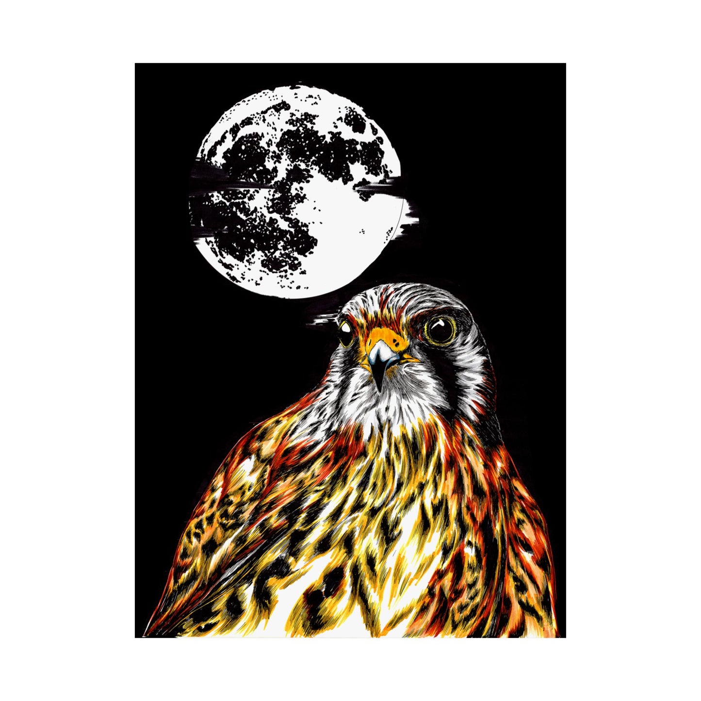 Wildlife Satin Poster - Majestic Falcon with Moon Design