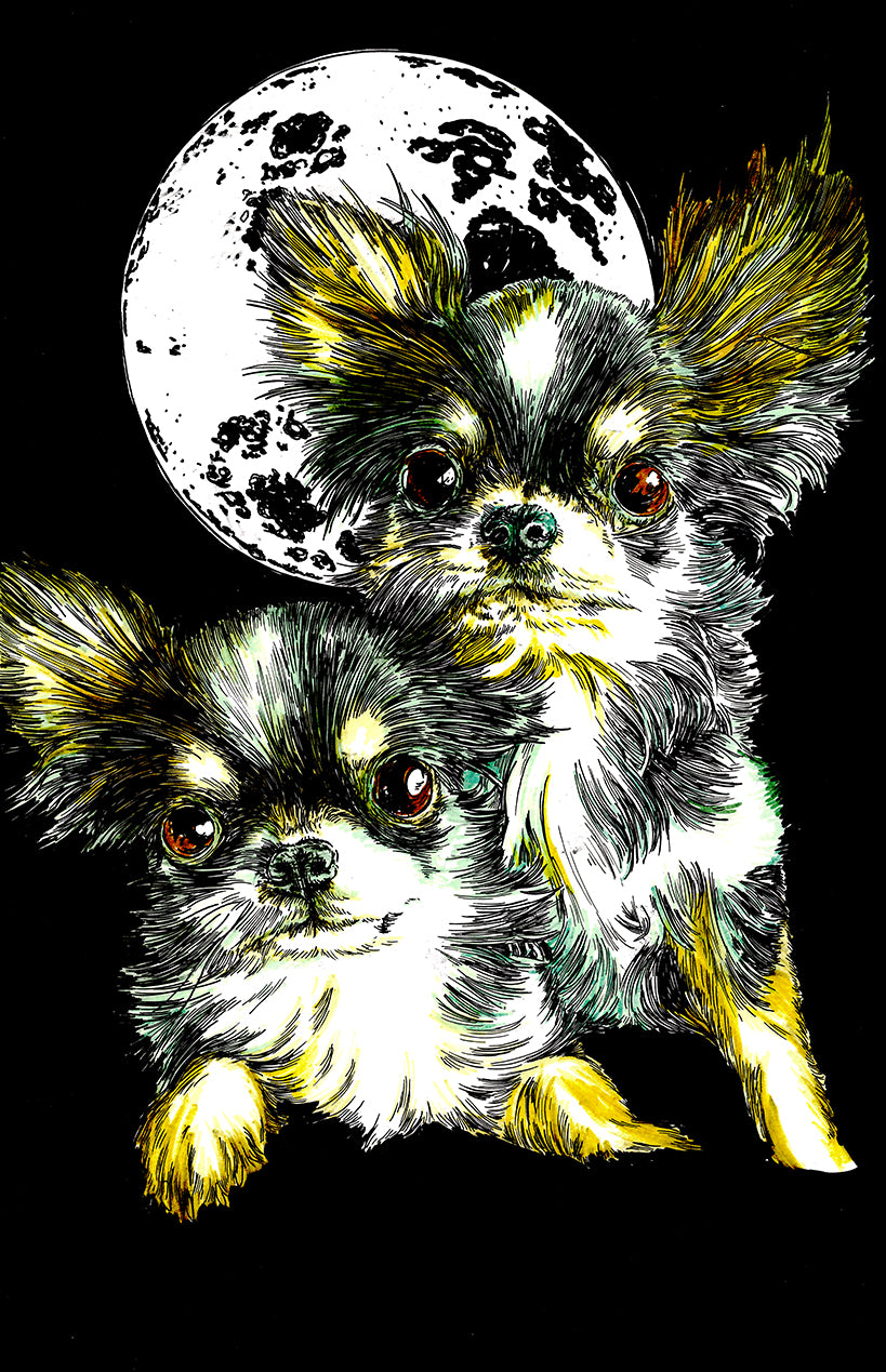 Chihuahua Original Hand Drawn Wall Art by Kris Curran