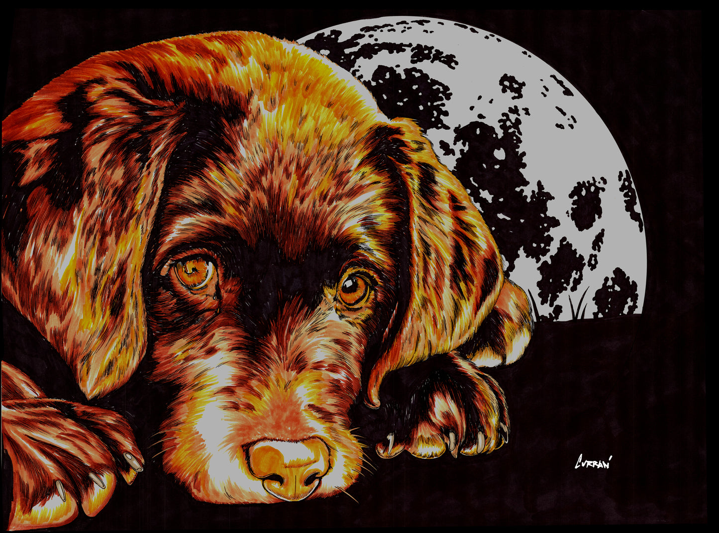 Chocolate Lab Puppy in the Moonlight Wall Art Poster