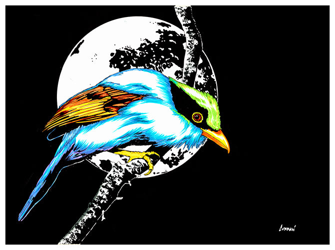 Exotic Bird Original Hand Drawn Wall Art Poster