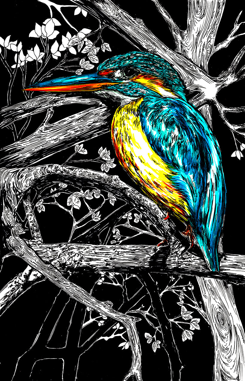 Kingfisher Exotic Bird Wall Art Poster Print