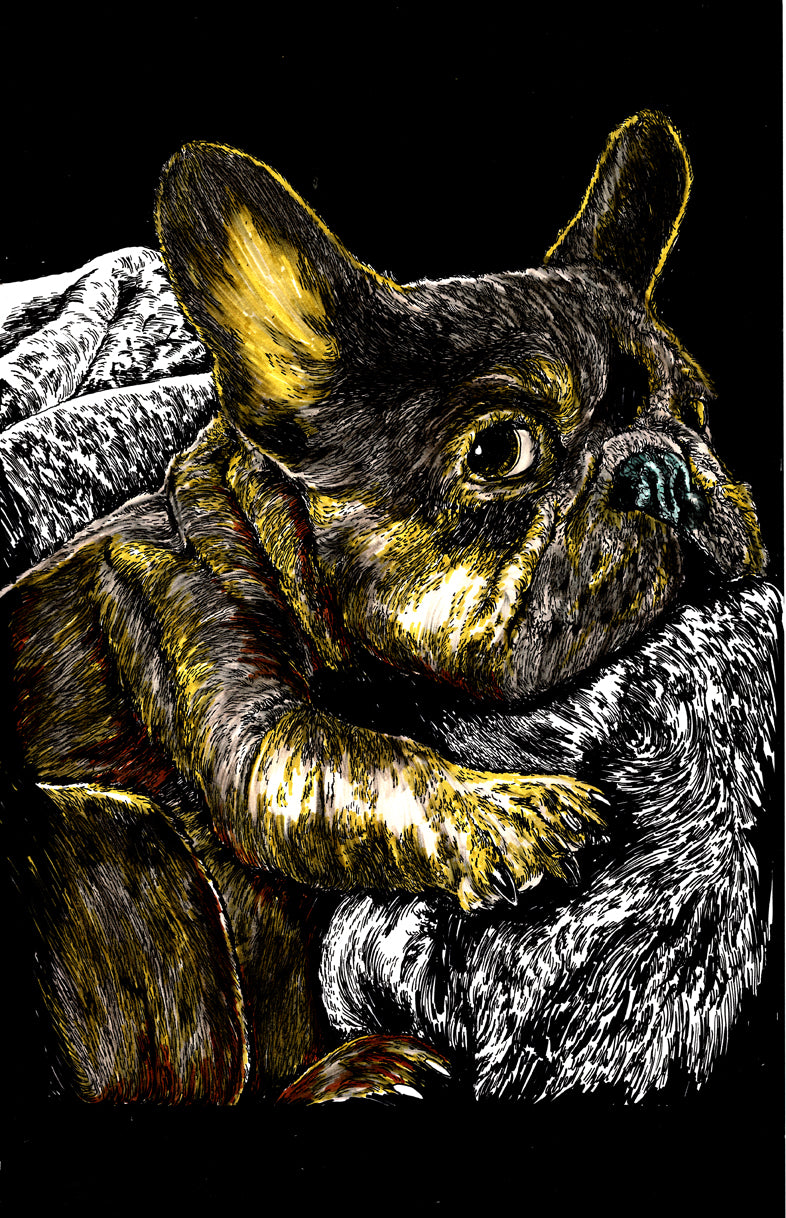 French Bulldog 2 Original Hand Drawn Wall art Poster