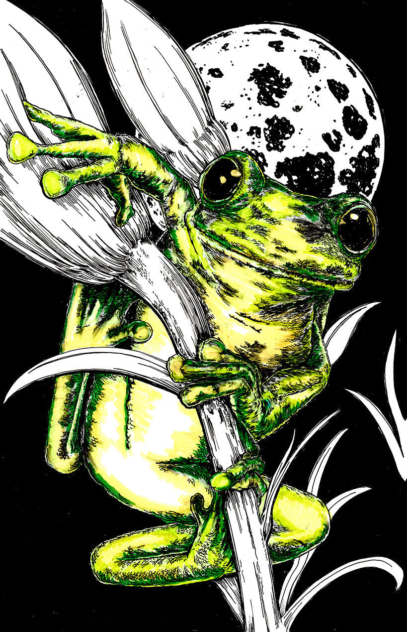 Frog 1 Original Hand Drawn Wall Art Poster