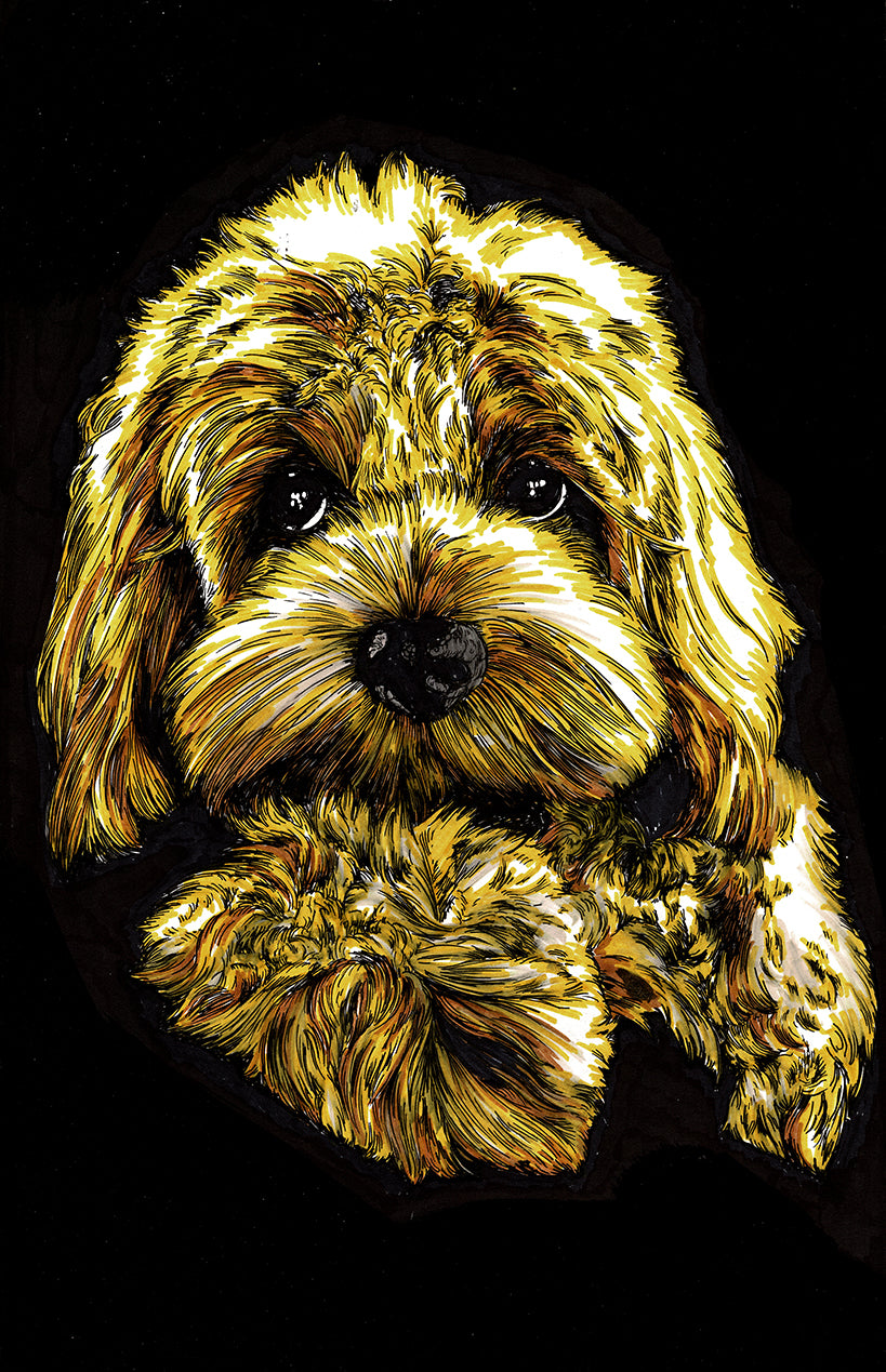 Goldendoodle Original Hand Drawn Wall Art Poster