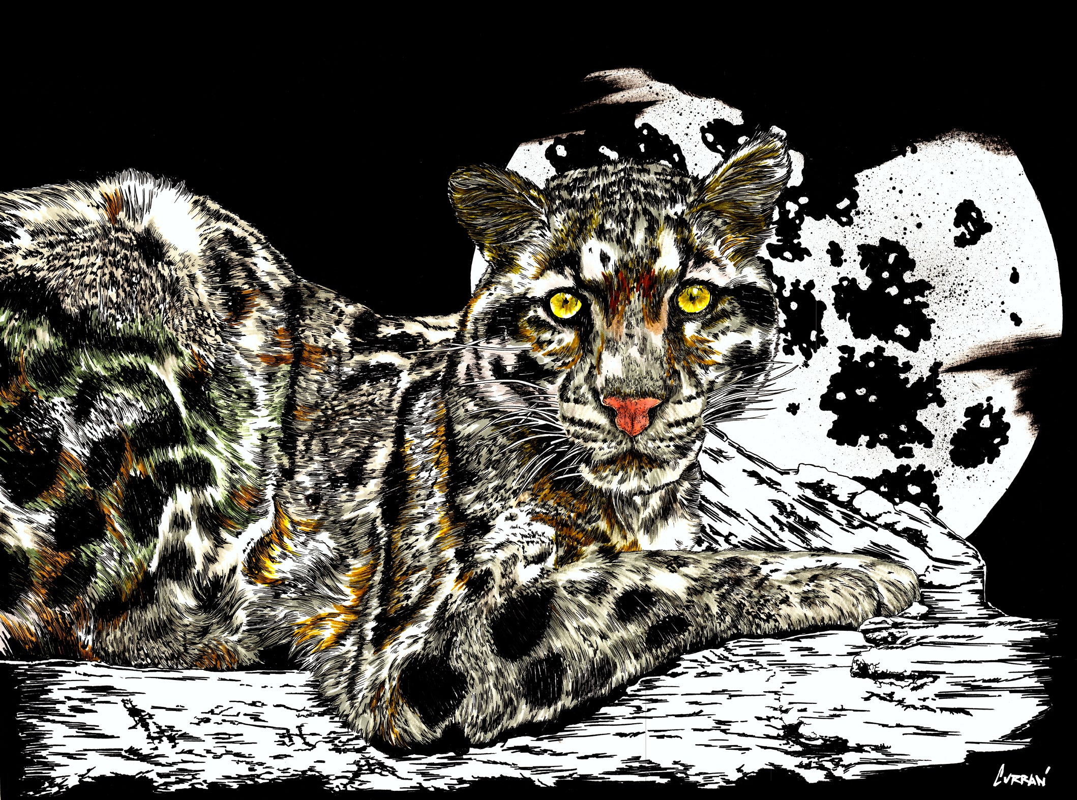 Leopard 2 Original Hand Drawn Wall Art Poster