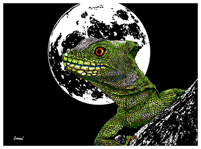 Lizard Wall Art Poster