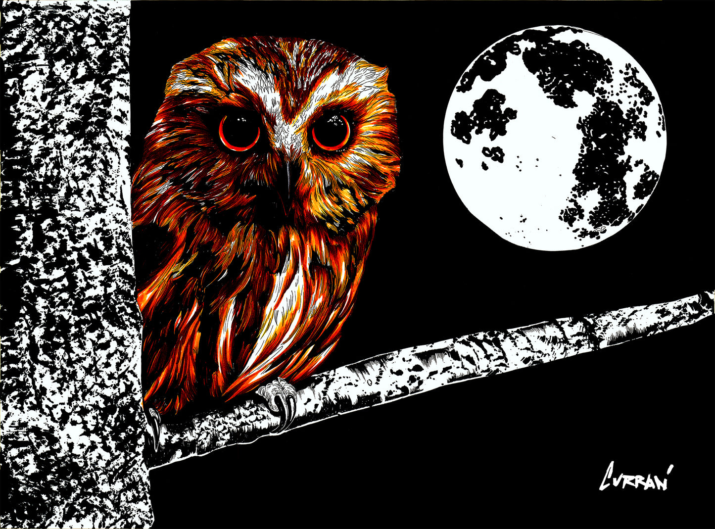 Owl 1 Wall Art Poster