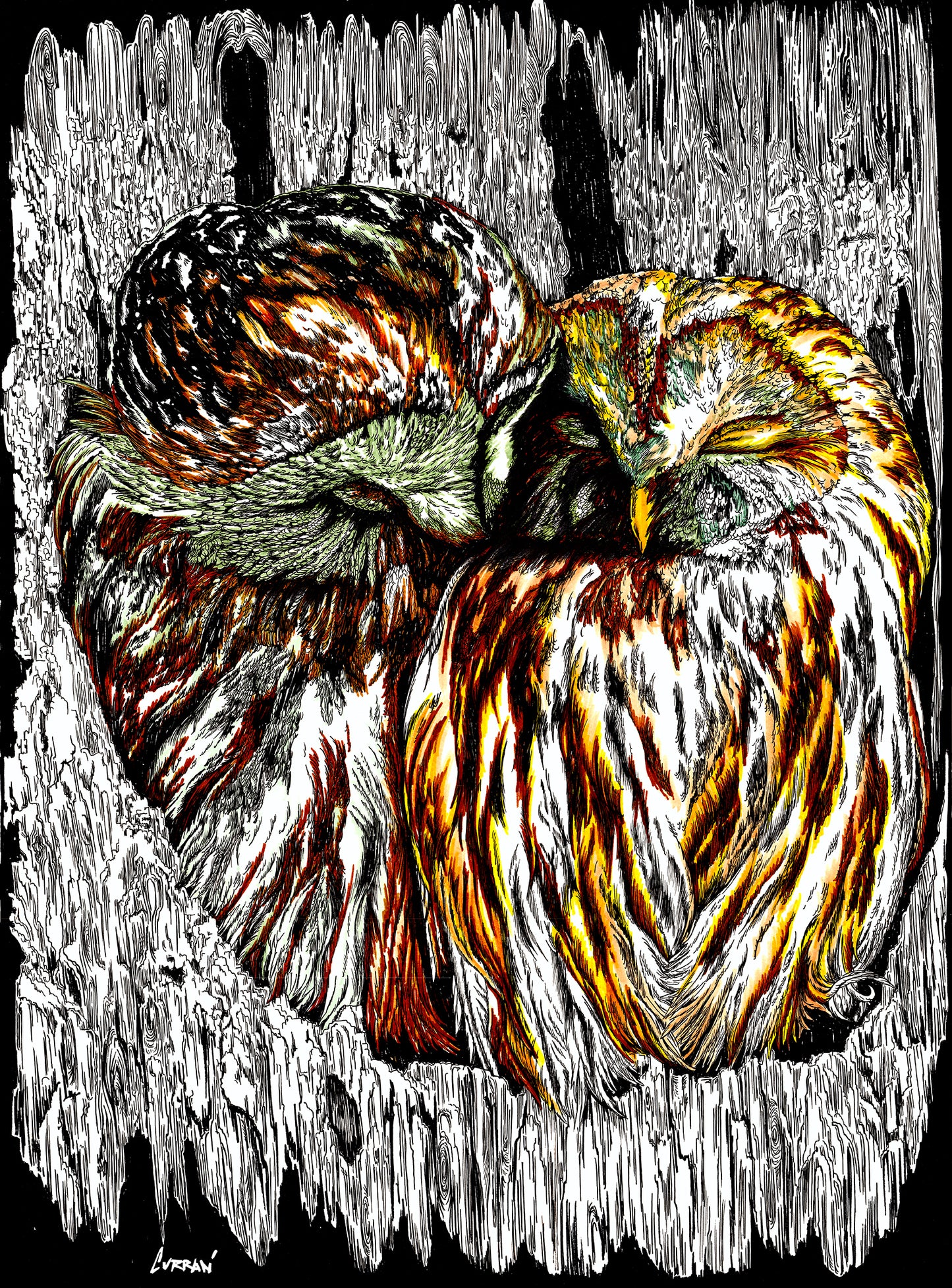 Owls Wall Art Poster