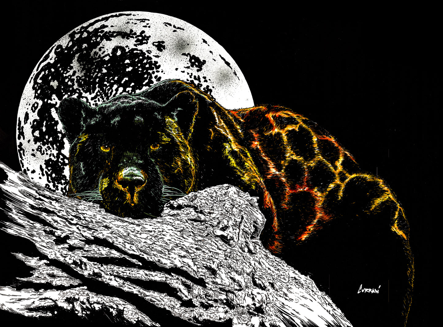 Panther Wall Art Poster