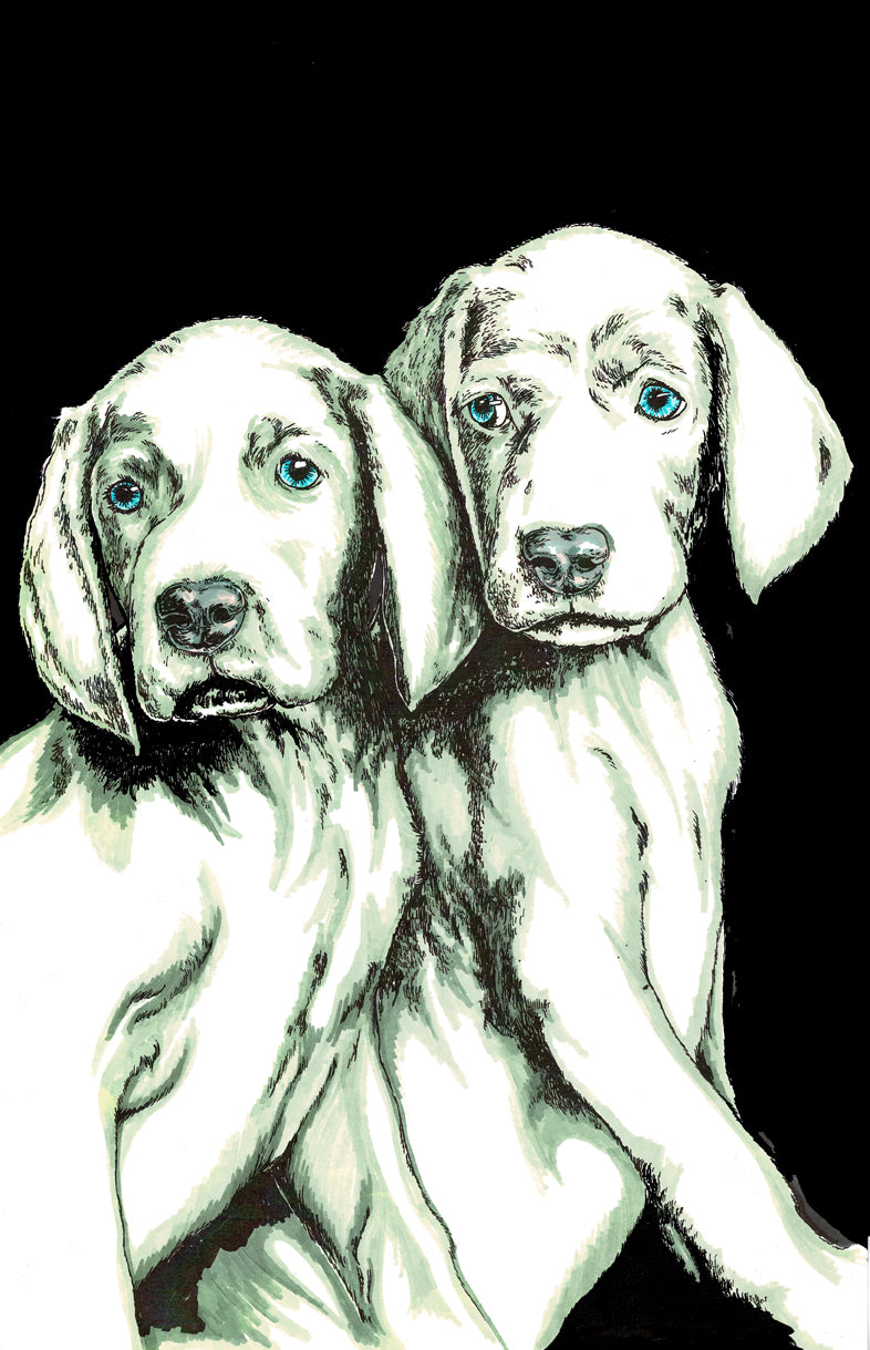 Puppy 1 Wall Art Poster