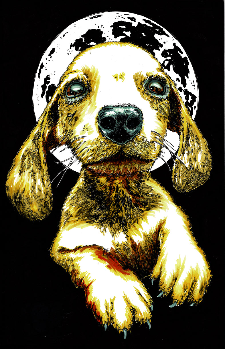 Puppy 1 Wall Art Poster