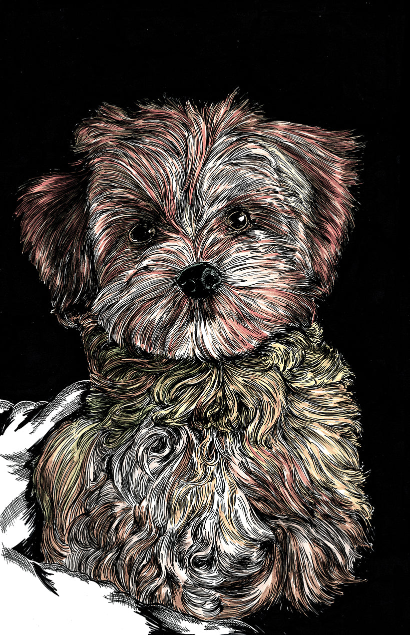 Puppy 2 Wall Art Poster