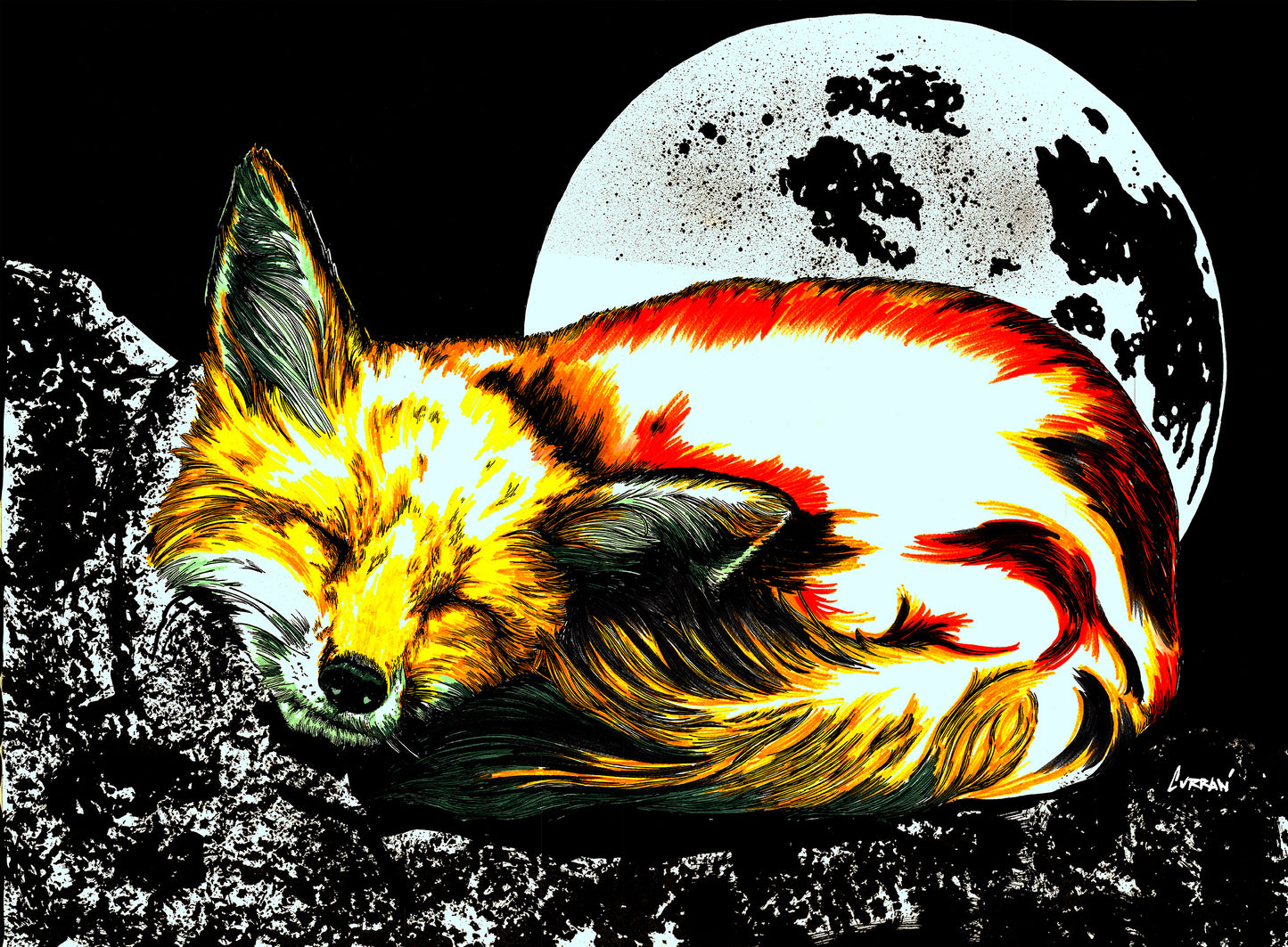 Red Fox Wall Art Poster