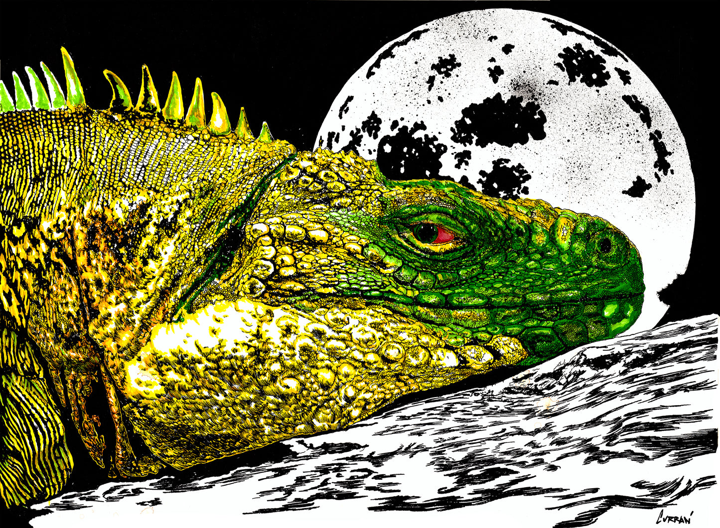 Reptile Wall Art Poster