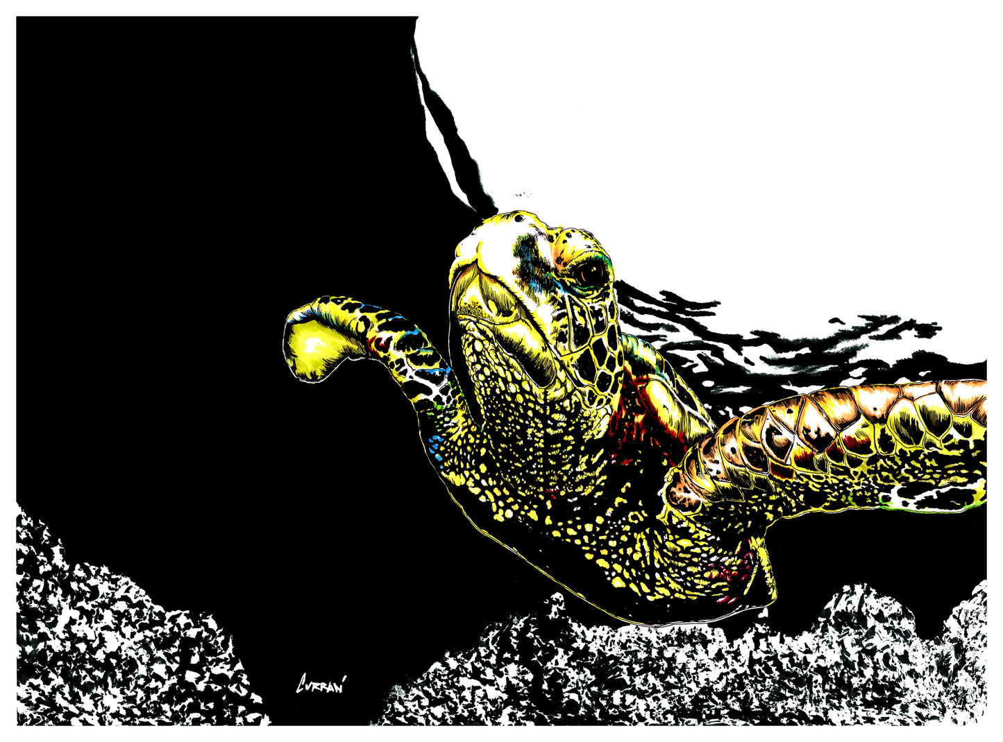 Sea Turtle Wall Art Poster