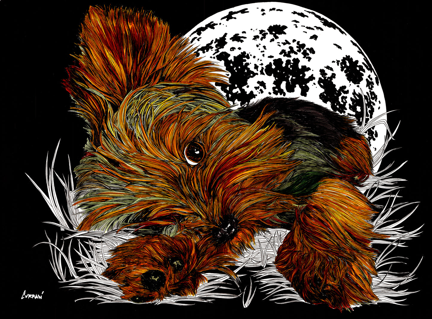 Yorkie Terrier 1 Wall Art Poster
