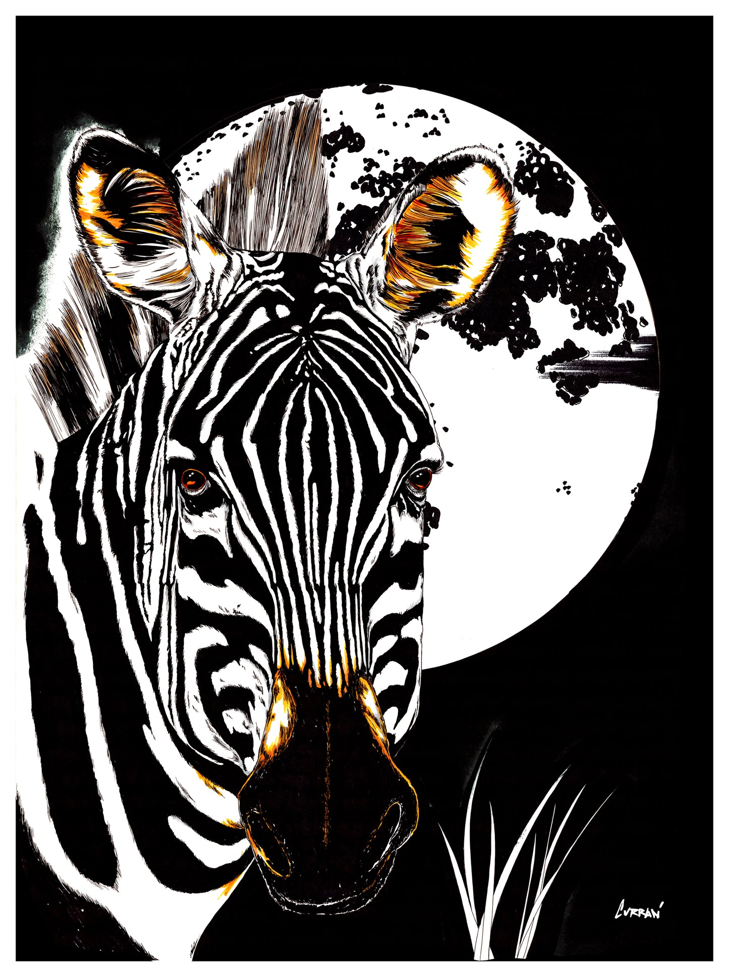 Zebra Wall Art Poster