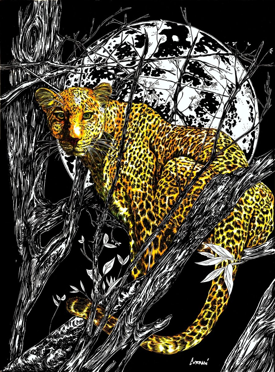 Cheetah Digital Download - Curran Artworks