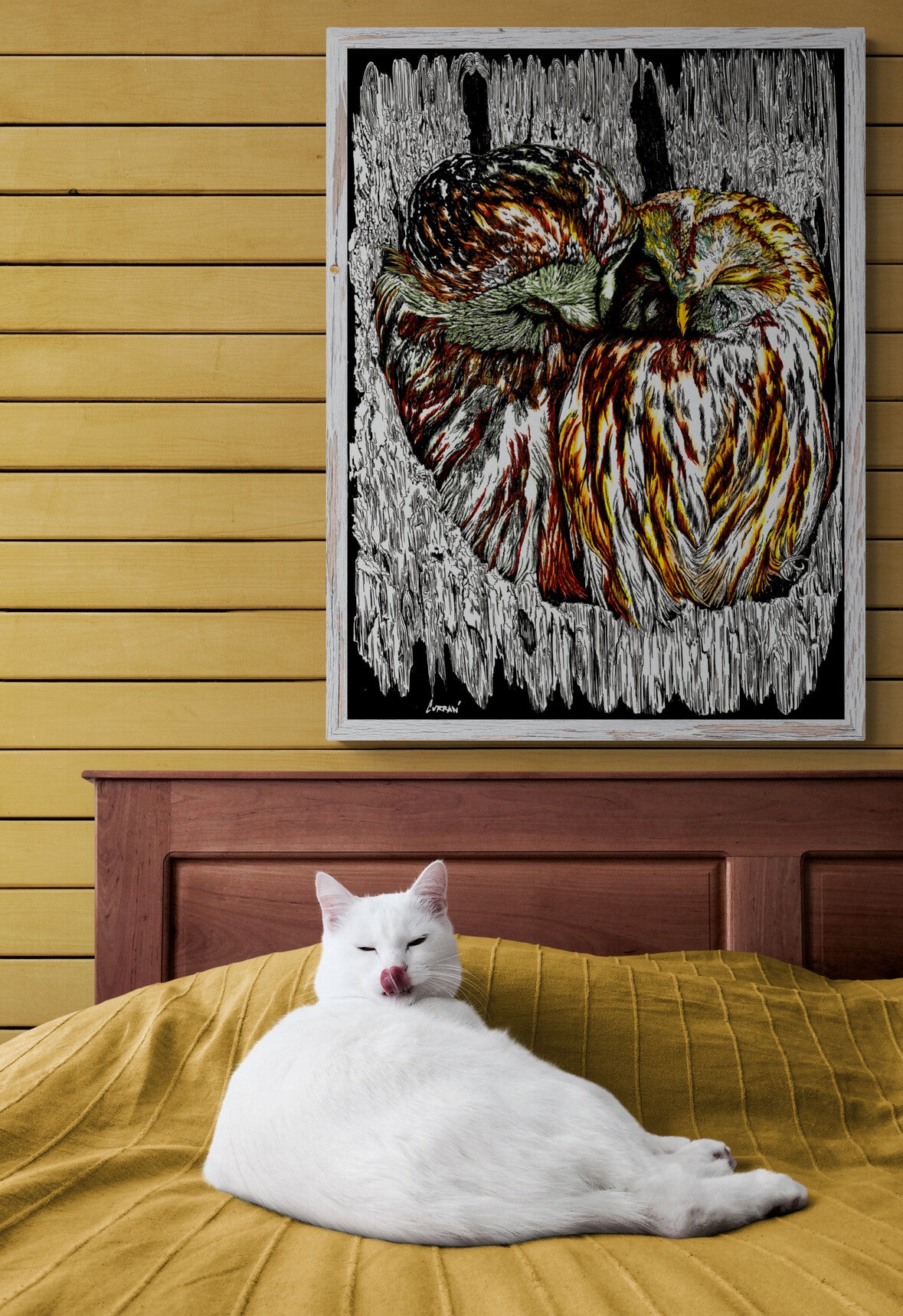 Owls Wall Art Poster