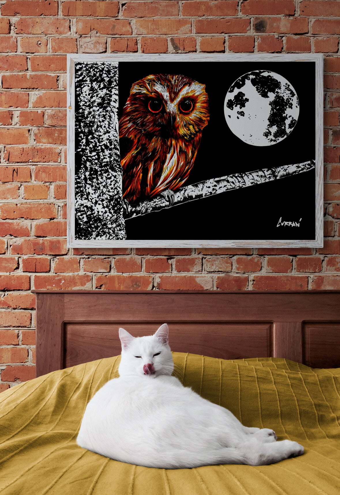 Owl 1 Wall Art Poster