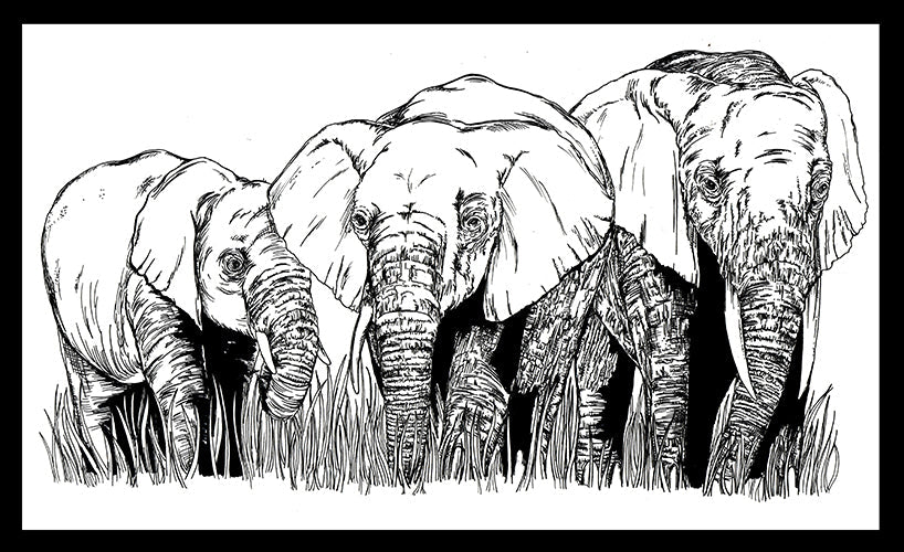 Elephant Family 1 Digital Download - Curran Artworks