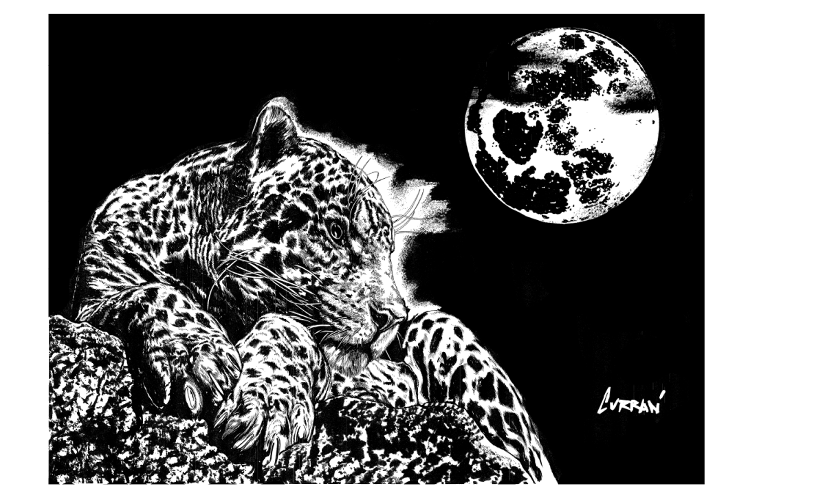 Leopard 1 Digital Download - Curran Artworks