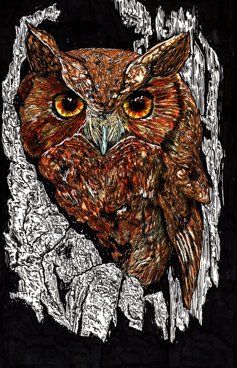 Owl 2 Wall Art Poster - Curran Artworks