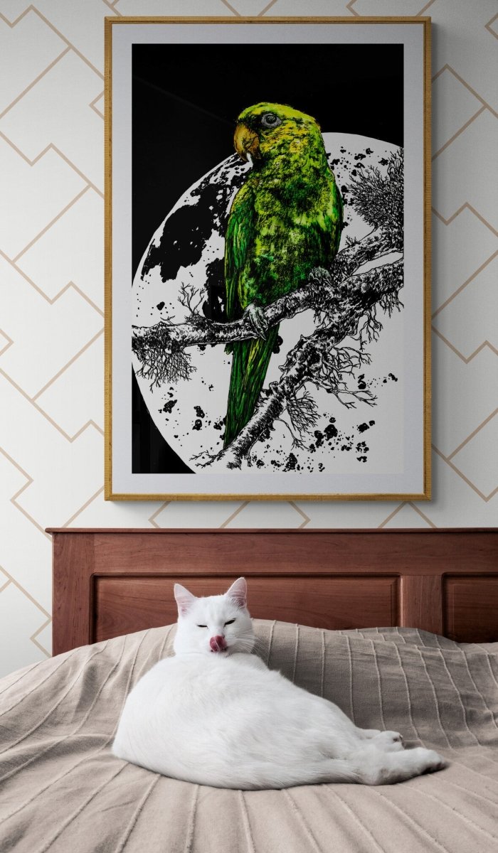 Parrot 1 Digital Download - Curran Artworks