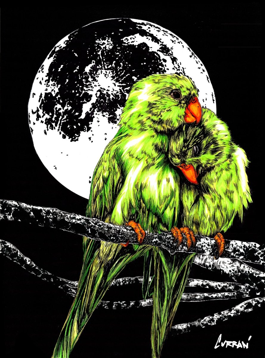 Parrots Digital Download - Curran Artworks