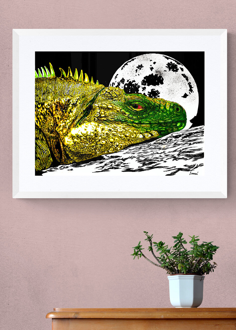 Reptile Wall Art Poster