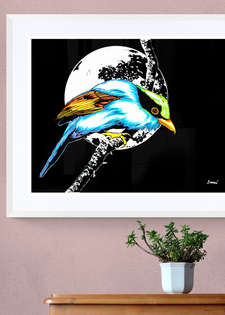 Exotic Bird Original Hand Drawn Wall Art Poster